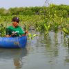 LindungiHutan Rilis Program Mangrove Capital, Bantu Perusahaan Mewujudkan Keuangan Berkelanjutan