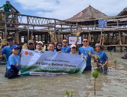 Program CSR PT Orico Balimor Finance Tanam 1.000 Mangrove di Ekowisata Mangrove Wonorejo Surabaya