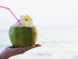 Benarkah Minum Kelapa Muda saat Haid Bisa Membuat Darah Banyak?