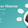 Update Terbaru Layanan Operasional Hisense Call Center