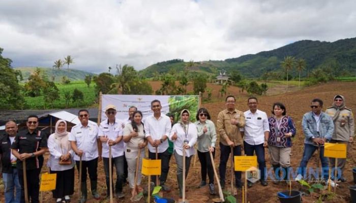 Wakil Bupati Karo Hadir Dalam Acara Tanam Perdana Pisang Cavendish dan Launching Kemitraan Closed Loop