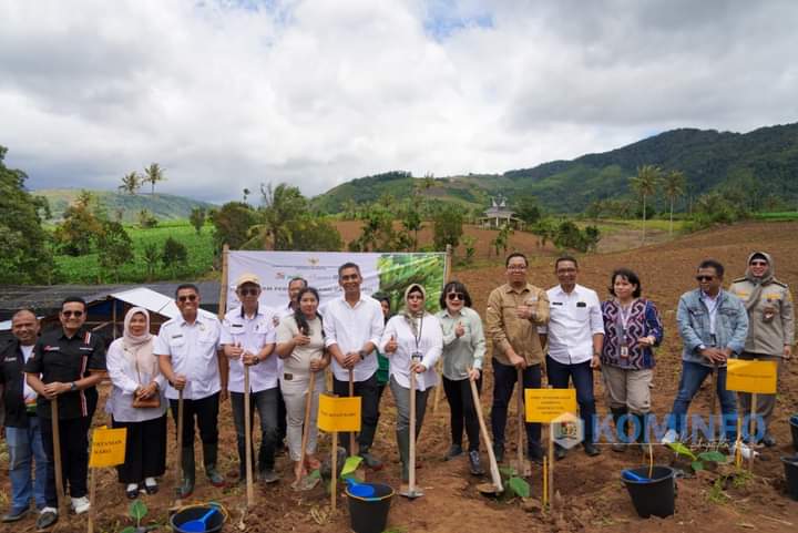 Wakil Bupati Karo Hadir Dalam Acara Tanam Perdana Pisang Cavendish dan Launching Kemitraan Closed Loop