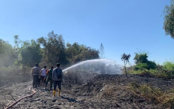 Sinergitas TNI dan Polri Bersama Warga Bantu Padamkan Kebakaran Lahan di Mojokerto*