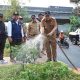 Percantik Jalan Kalimalang, Pemkab Bekasi Lakukan Program Penataan Taman Median