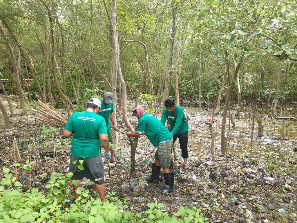 Ekowisata Mangrove Wonorejo Hadapi Tantangan Besar Akibat Sampah