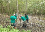 Ekowisata Mangrove Wonorejo Hadapi Tantangan Besar Akibat Sampah