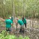 Ekowisata Mangrove Wonorejo Hadapi Tantangan Besar Akibat Sampah