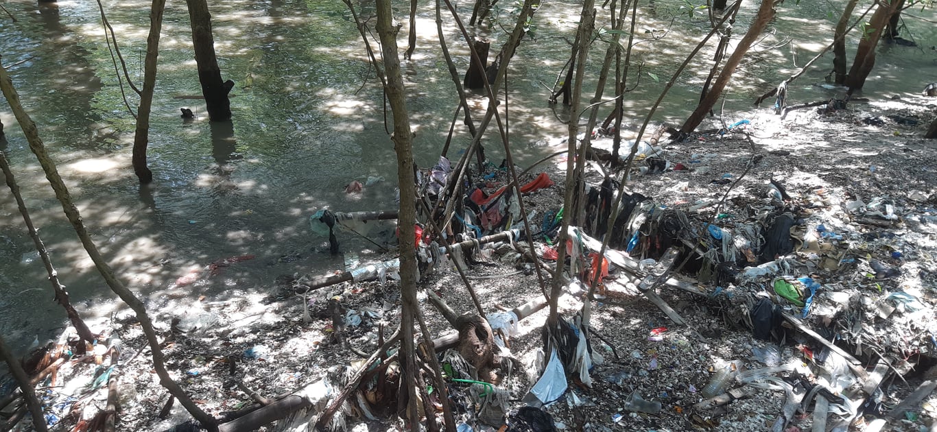 Kondisi sampah di Ekowisata Mangrove Wonorejo Surabaya.