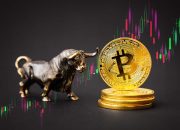 Sinyal Bearish Muncul, Benarkah Bull Run Bitcoin Batal? Simak di Sini