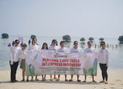 Program CSR J&T Express Tanam 3.000 Mangrove untuk Melestarikan Lingkungan