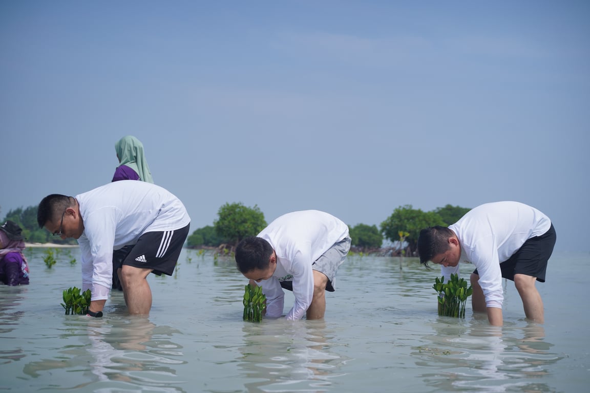 Penanaman bibit mangrove oleh J&T Express di Pulau Pari (30/8).