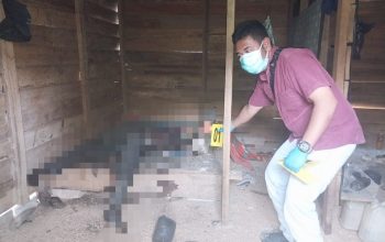 Mayat Pria Ditemukan Telah Meninggal Lima Hari di Kebun Terpencil Pintu Rime Gayo