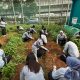 13 Program Akselerasi, Lapas Cipinang Dukung Ketahanan Pangan Melalui Urban Farming dan Bakti Sosial