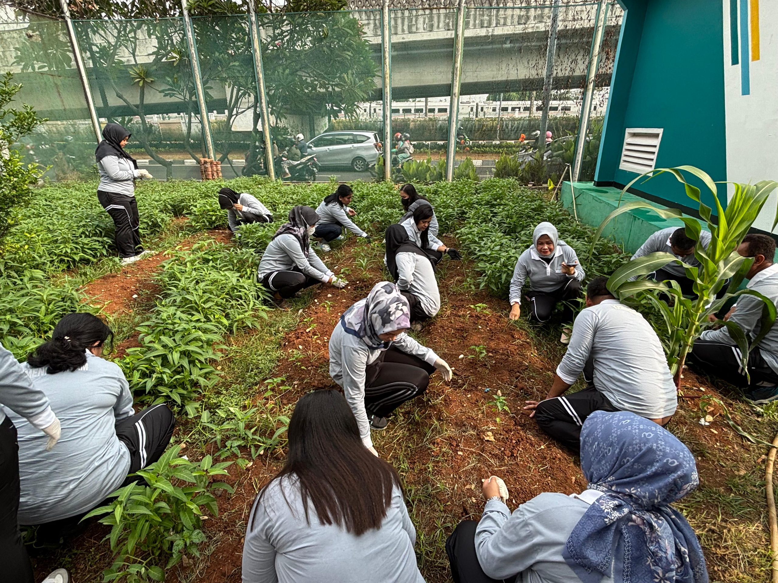 13 Program Akselerasi, Lapas Cipinang Dukung Ketahanan Pangan Melalui Urban Farming dan Bakti Sosial