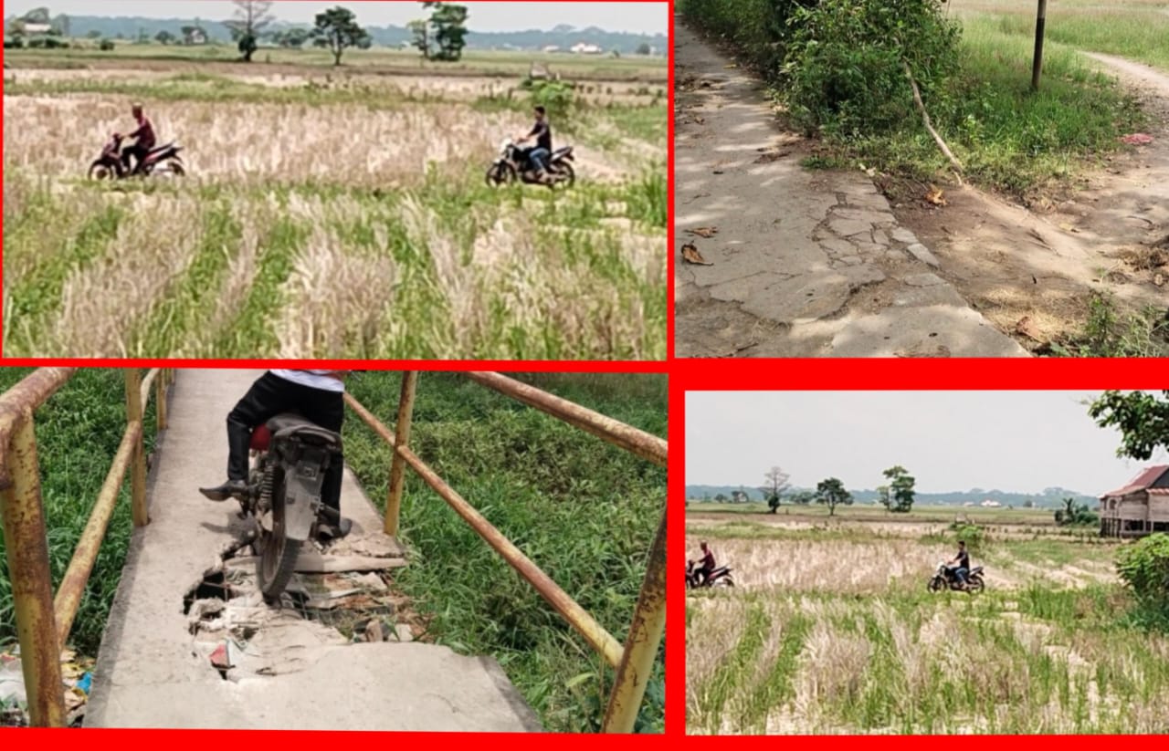 Jln Setapak dan Jembatan di Desa Danau Ceper Kec.Jejawi Yang Selelalu dilalui Masyarakat Sekitar Rusak Parah