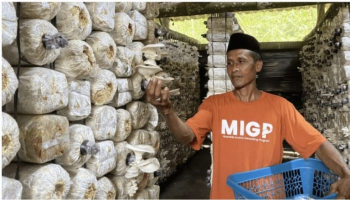 Bank BRI bantu masyarakat dengan Tingkatkan ekonomi lewat zakat