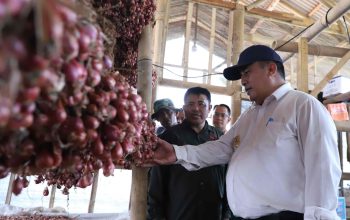 Pemkab Bekasi Apresiasi Korem 051/Wkt Kembangkan Urban Farming Bawang Merah di Sukatani