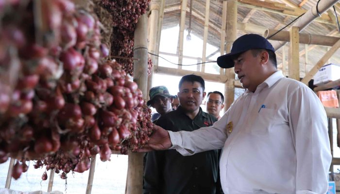 Pemkab Bekasi Apresiasi Korem 051/Wkt Kembangkan Urban Farming Bawang Merah di Sukatani