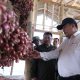 Pemkab Bekasi Apresiasi Korem 051/Wkt Kembangkan Urban Farming Bawang Merah di Sukatani