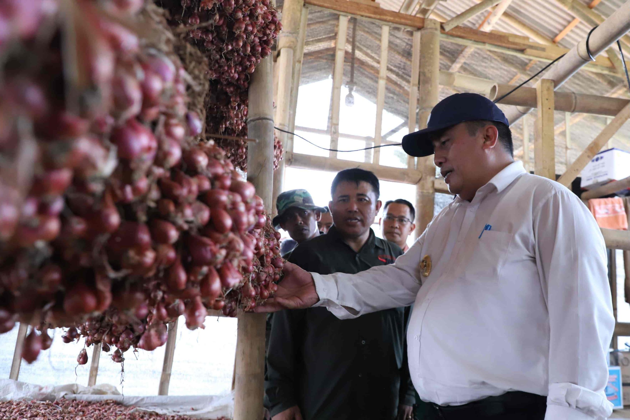 Pemkab Bekasi Apresiasi Korem 051/Wkt Kembangkan Urban Farming Bawang Merah di Sukatani