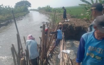 FPRB bersama Muspika dan Gapoktan Gotong-Royong Atasi Tanggul Jebol di Pebayuran