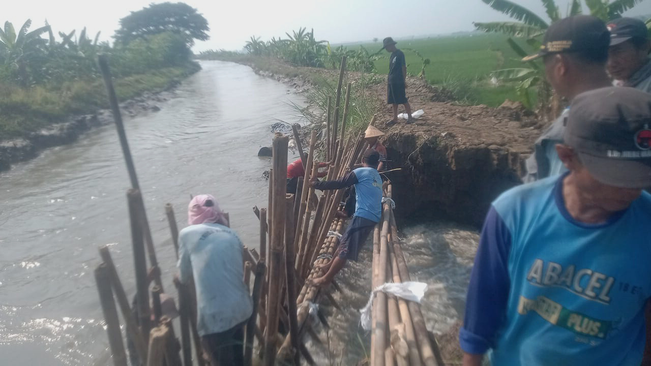 FPRB bersama Muspika dan Gapoktan Gotong-Royong Atasi Tanggul Jebol di Pebayuran