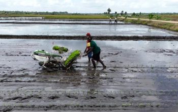 Kementan Minta Petani Tak Segan Laporkan Pungli Bantuan Alsintan