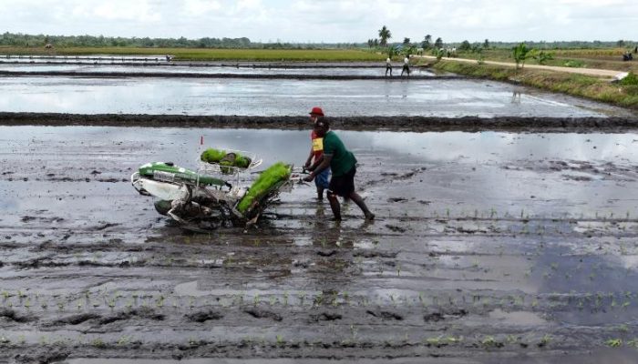 Kementan Minta Petani Tak Segan Laporkan Pungli Bantuan Alsintan