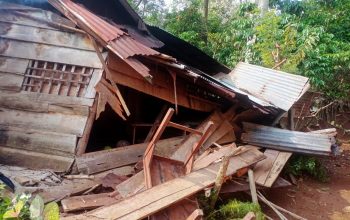 Kawanan Gajah Liar Rusak Rumah Warga di Lampung