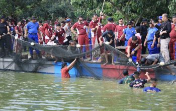 Dukung Misi Asta Cita, Polda Sumsel Panen Raya 2,5 Ton Ikan, Tebar Bibit Puluhan Ribu Ekor.