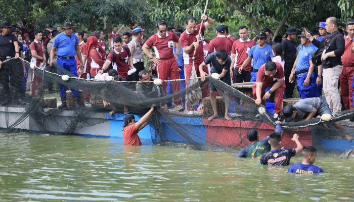 Dukung Misi Asta Cita, Polda Sumsel Panen Raya 2,5 Ton Ikan, Tebar Bibit Puluhan Ribu Ekor.