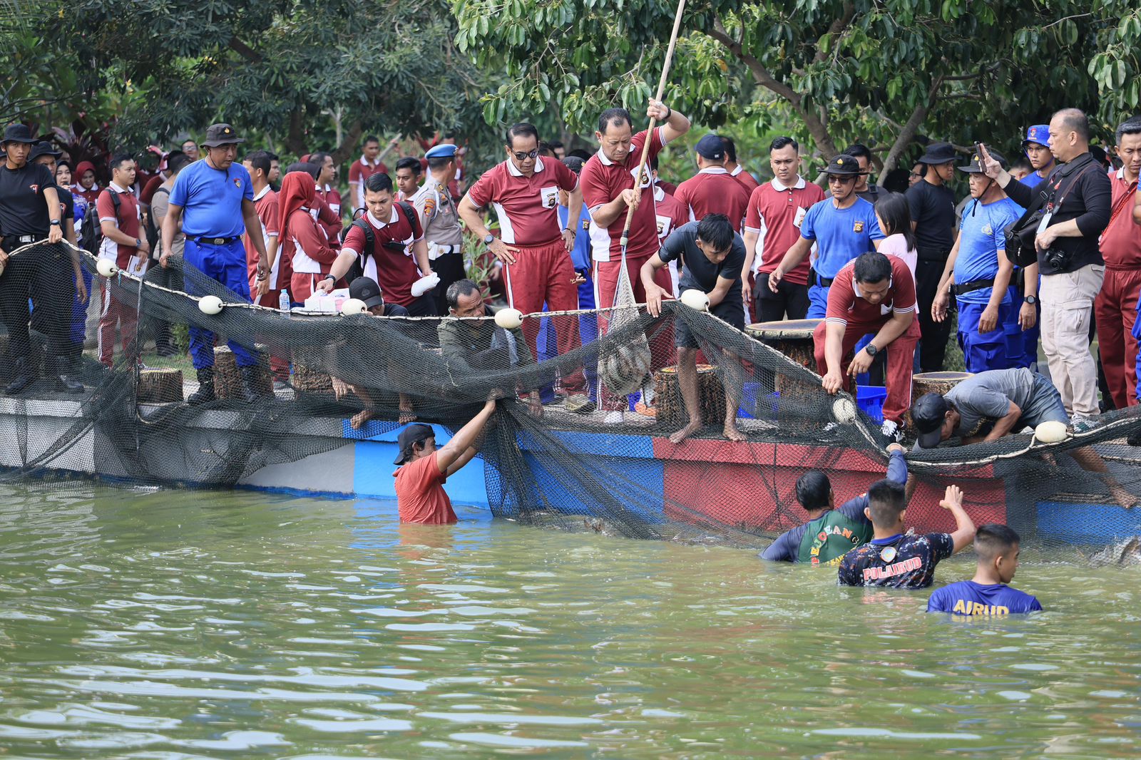 Dukung Misi Asta Cita, Polda Sumsel Panen Raya 2,5 Ton Ikan, Tebar Bibit Puluhan Ribu Ekor.