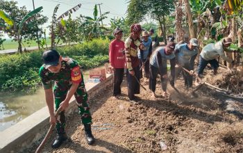 Babinsa Bersama Petani Bersihkan Saluran Irigasi di Desa Bantarjaya untuk Dukung Musim Tanam Padi