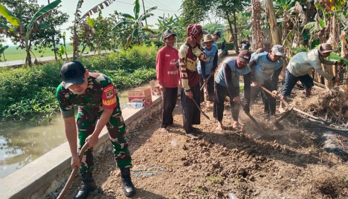 Babinsa Bersama Petani Bersihkan Saluran Irigasi di Desa Bantarjaya untuk Dukung Musim Tanam Padi