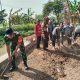 Babinsa Bersama Petani Bersihkan Saluran Irigasi di Desa Bantarjaya untuk Dukung Musim Tanam Padi