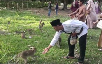 Wisata Religi Makam Syekh Mas Masad Tanggerang Banyak Ditemui Primata Monyet Ekor Panjang