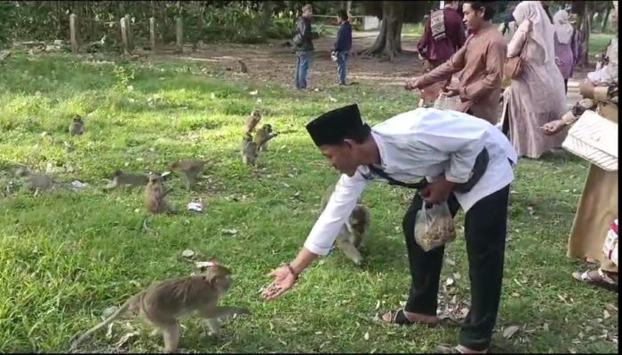 Wisata Religi Makam Syekh Mas Masad Tanggerang Banyak Ditemui Primata Monyet Ekor Panjang