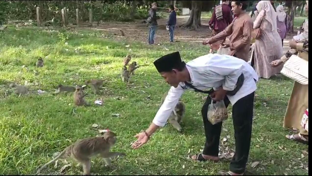 Wisata Religi Makam Syekh Mas Masad Tanggerang Banyak Ditemui Primata Monyet Ekor Panjang