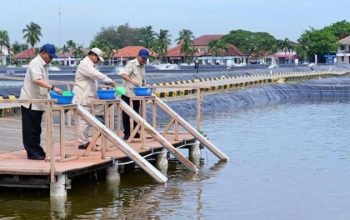 Presiden Prabowo Subianto Tinjau Kawasan BLUPPB Karawang, Dorong Swasembada Pangan dan Ekonomi Biru