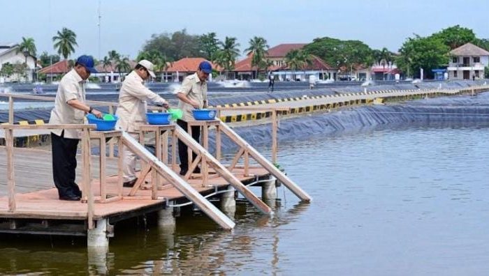 Presiden Prabowo Subianto Tinjau Kawasan BLUPPB Karawang, Dorong Swasembada Pangan dan Ekonomi Biru