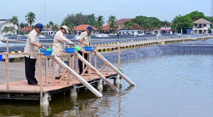 Presiden Prabowo Subianto Tinjau Kawasan BLUPPB Karawang, Dorong Swasembada Pangan dan Ekonomi Biru