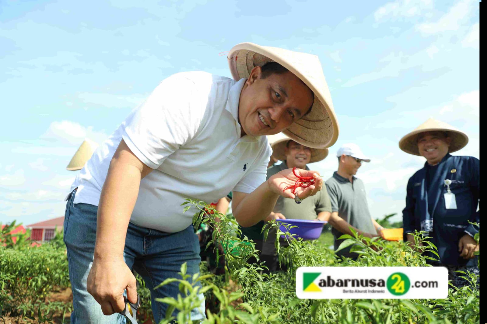 Panen Perdana, Pj Bupati Dedy Apresiasi Program Pemanfaatan Lahan Kelompok Petani Cabai