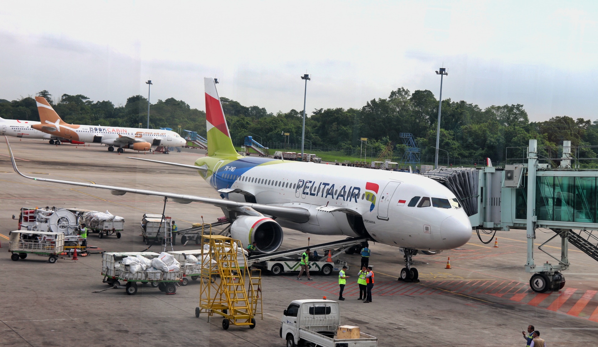 Pemprov Sumut Harap Penerbangan Baru Pelita Air Medan-Jakarta Jawab Kebutuhan Masyarakat