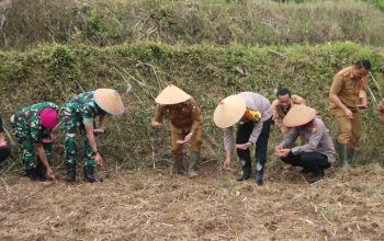 Penanaman Jagung Serentak 1 Juta Hektar di Desa Subik, Lampung Utara