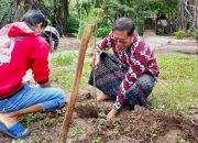 Untuk Sedekah Oksigen, Pengelola Wisata Beach Forest Lakukan Reboisasi Pengkayaan Tanaman