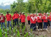 Dukung Program Sedekah Oksigen , IIK Perhutani Ranting BKPH Panarukan, Gelar Tanam Pohon Bersama