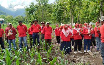 Dukung Program Sedekah Oksigen , IIK Perhutani Ranting BKPH Panarukan, Gelar Tanam Pohon Bersama