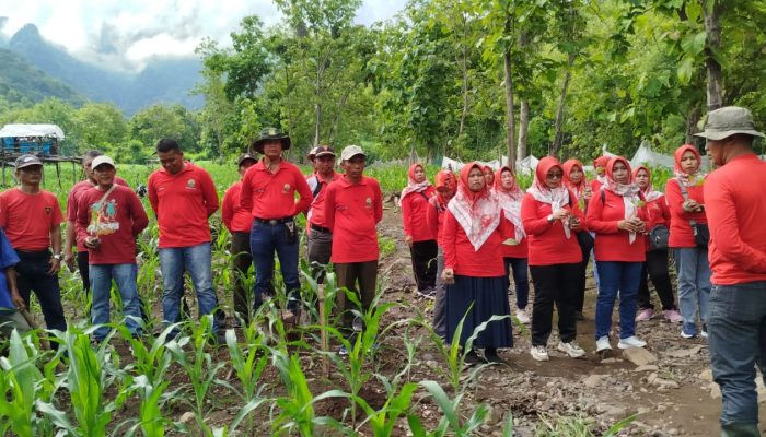 Dukung Program Sedekah Oksigen , IIK Perhutani Ranting BKPH Panarukan, Gelar Tanam Pohon Bersama