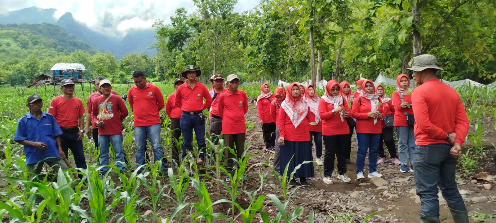 Dukung Program Sedekah Oksigen , IIK Perhutani Ranting BKPH Panarukan, Gelar Tanam Pohon Bersama