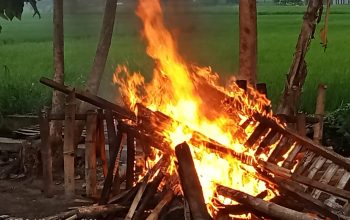 Arena Judi Sabung Ayam di Desa Kedungmaling Mojokerto Dibakar Polisi